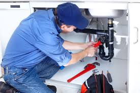 Best Garbage Disposal Repair and Installation  in Round Lake Heights, IL